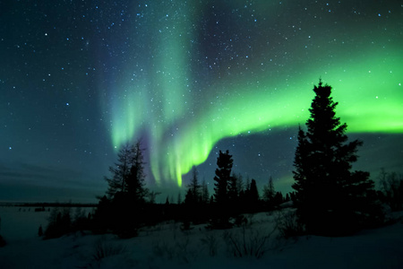 加拿大马尼托巴省 wapusk 国家公园北极光北极光