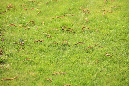 娱乐切图片-娱乐切素材-娱乐切插画-摄图新视界