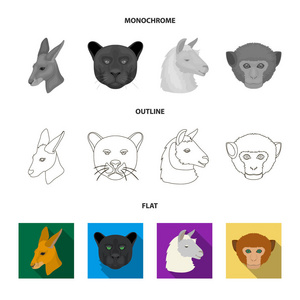 袋鼠, 骆驼, 猴子, 豹, 逼真的动物集合图标在平面, 轮廓, 单色样式矢量符号股票插画网站