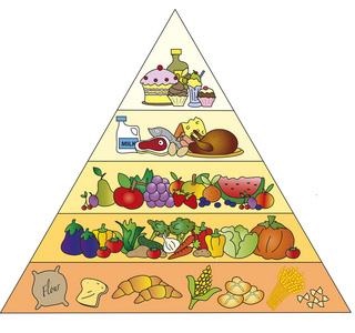 食物金字塔图片