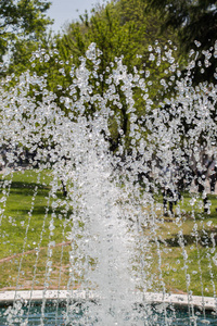喷泉涌出苏打水在血泊中的公园图片