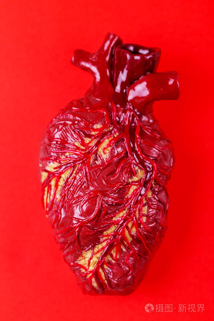 人的心脏黏土模型红色背景医学抽象概念