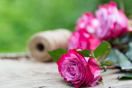 完美的粉红色玫瑰花在木材上