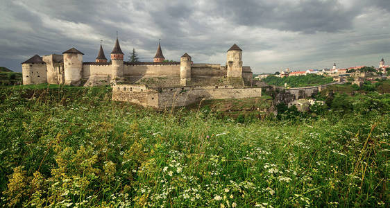 古老的堡垒 Kamenetz波多斯基和野花。乌克兰