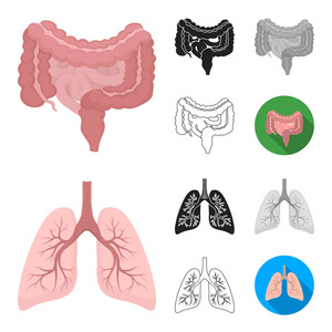 人体内器官的卡通, 黑色, 平面, 单色, 轮廓图标在集合中进行设计。解剖学和医学载体符号股票 web 插图