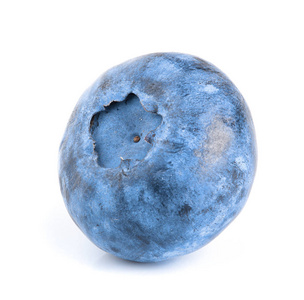 在白色背景上孤立的单个新鲜蓝莓照片