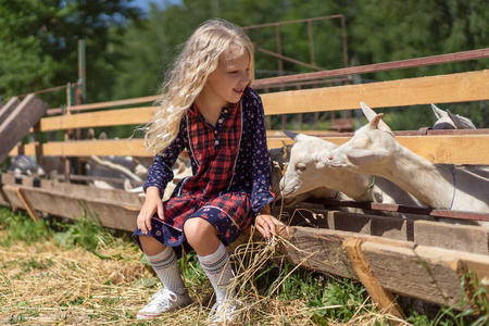 孩子坐在围栏在农场和饲养山羊
