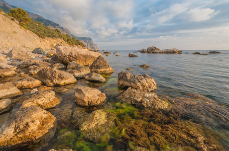 海洋 海岸和石头