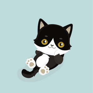 黑猫的眼睛图片