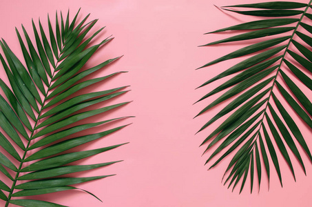 热带棕榈叶边界框架被隔离在柔和的粉红色背景。文本复印刻字室