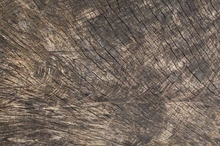 树皮木质地作为自然背景木材纹理背景