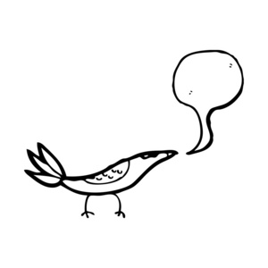 气泡的鸟
