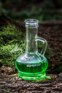 玻璃容器与绿色草药药水在树林中的树干上倒下的树。草药和魔术药剂。医学概念