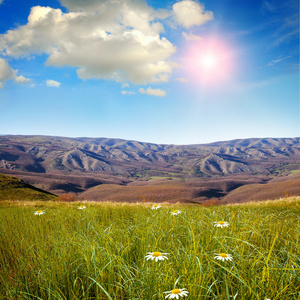 夏田与高山