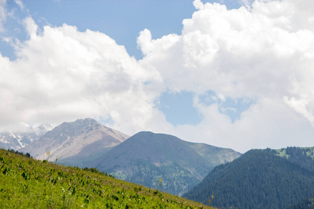 哈萨克斯坦阿拉木图 Kaskelen 峡山景观研究