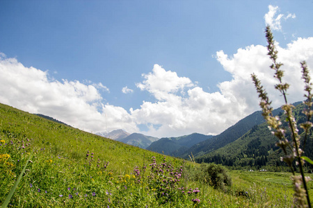 哈萨克斯坦阿拉木图 Kaskelen 峡山景观研究