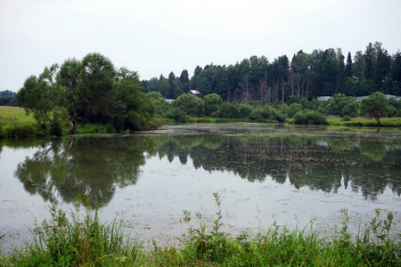 俄罗斯的房子和森林附近的池塘
