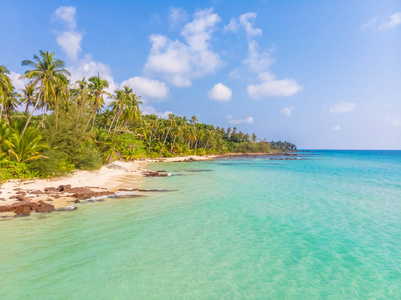 美丽的海滩和海与椰子棕榈树在天堂岛上的蓝天鸟瞰