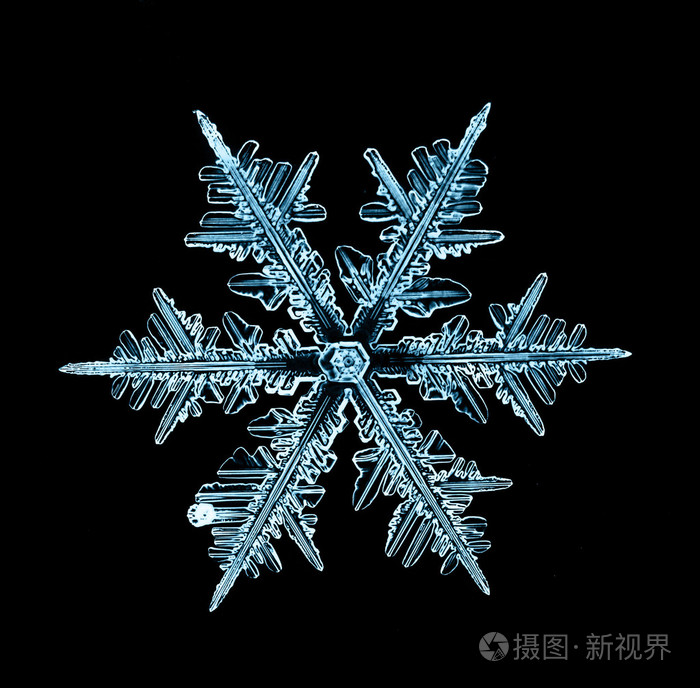 黑色背景设计上自然圣诞雪花