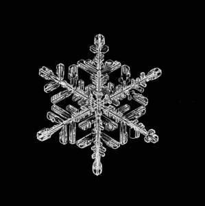 黑色背景上的雪花图片