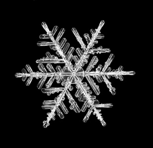 黑色背景上的雪花图片