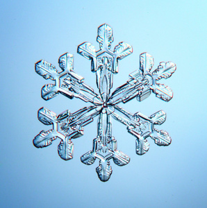 雪花晶体图片