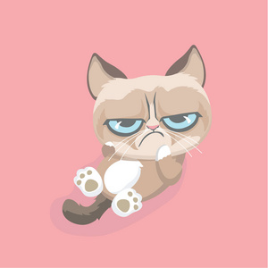 可爱的脾气暴躁的猫.矢量插图照片