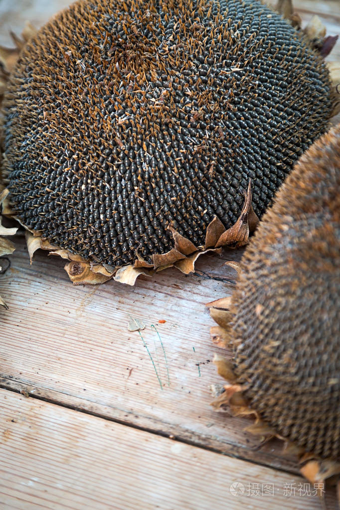 在木质背景上的一些干向日葵的顶部视图