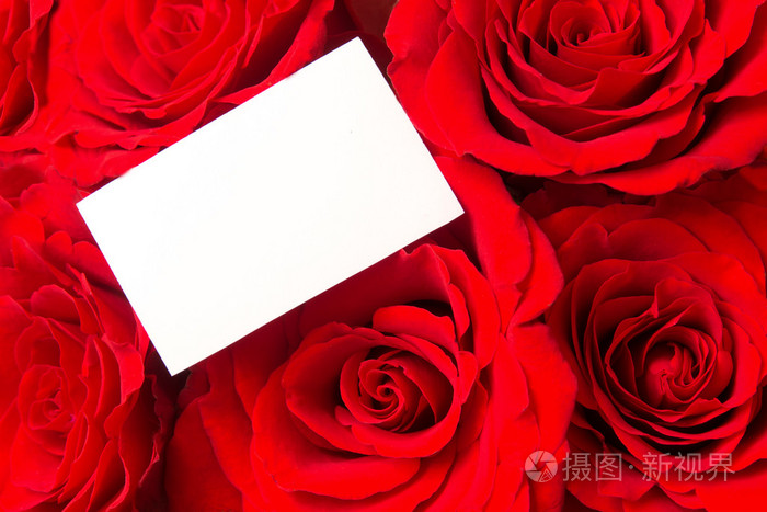 红玫瑰和空白卡