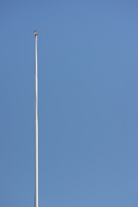 旗杆图片-旗杆素材-旗杆插画-摄图新视界