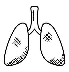 呼吸器官图片-呼吸器官素材-呼吸器官插画-摄图新视界