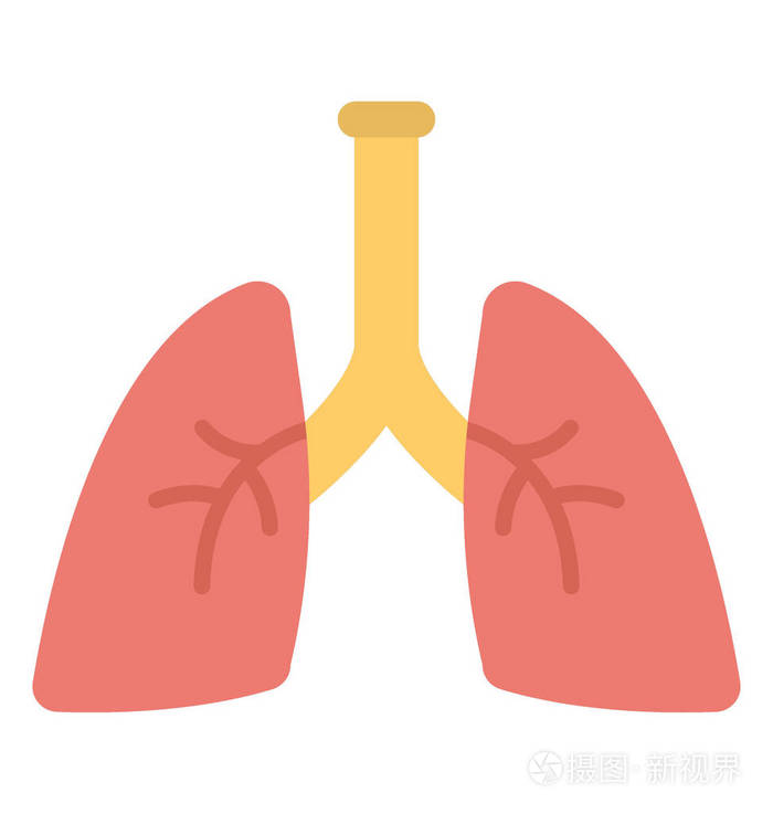 人体呼吸器官 肺插画 正版商用图片05z3ga 摄图新视界