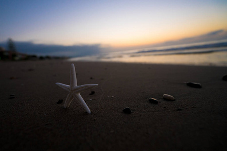 海滩上的日出和海星