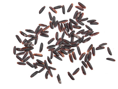 野豹子被夹住黑野稻在白色背景下被隔绝.顶部视图.平躺照片