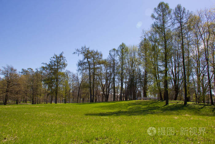 春天阳光灿烂的凯瑟琳公园.普希金 (列宁格勒) 地区