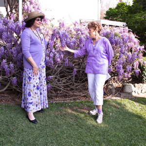 两个女人欣赏紫藤藤蔓图片