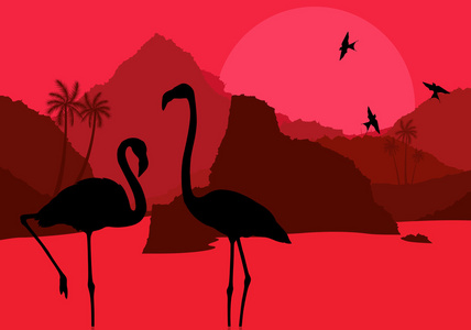 火烈鸟夫妇在非洲野生自然山景观 backgro