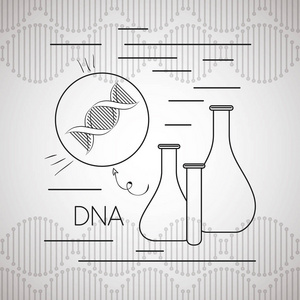 dna 分子管试验