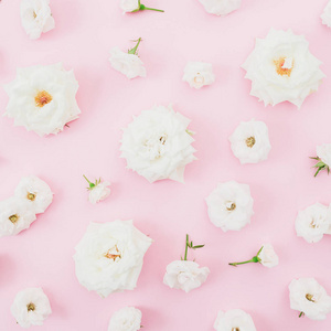 白色玫瑰在粉红色的背景安排。平躺, 顶部视图。柔和的背景。花卉图案