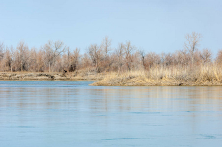 江泉。在中亚的春天河。哈萨克斯坦草原河 Semirechye