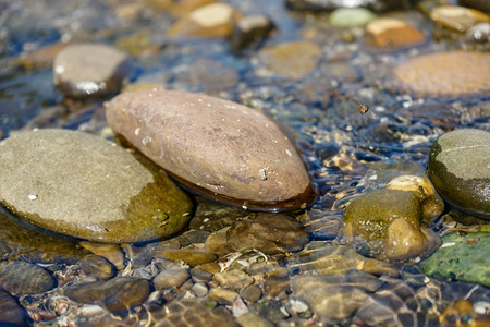 水晶般清澈的水的石头图片