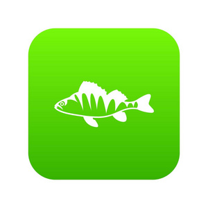 欧洲鲈鱼, Perca fluviatilis 图标数字绿色