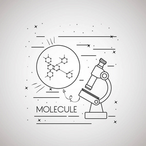 分子结构与显微镜