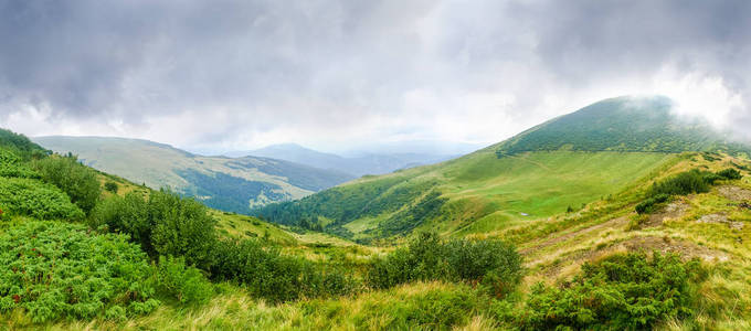 高山斜坡的全景, 覆盖着草地, 灌木和森林在雨季的天气