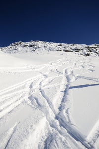 享受粉雪