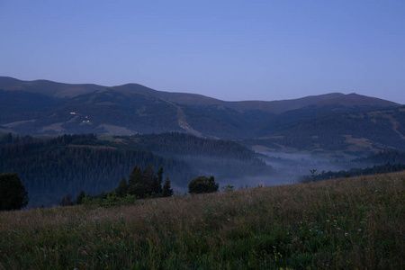 在美丽的清晨，山间的雾谷的视图