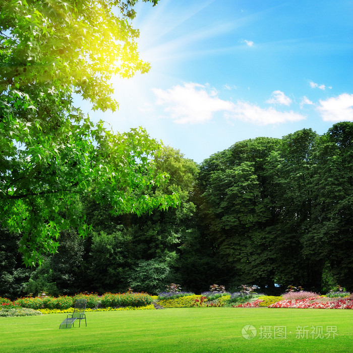 公园和游憩草坪