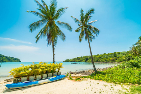 独木舟小船在美丽的热带海滩和海与椰子棕榈树在天堂海岛为旅行和假期