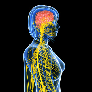 女性的身体视图被隔绝在黑色的中枢神经系统