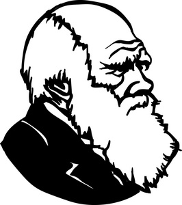 达尔文进化论图片-达尔文进化论素材-达尔文进化论插画-摄图新视界